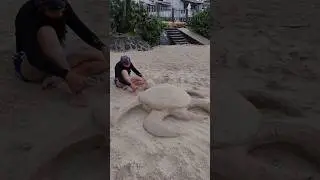 I made a turtle with sand 🐢 #sculpture