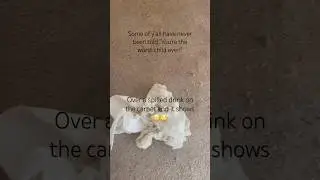 Spilled drink #vent #edit #hurt #venting #sad #real #sadsongs #mad #parents #parenting #love #drink