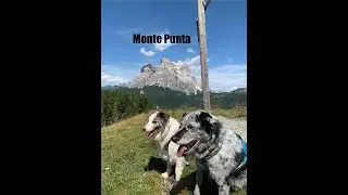 monte punta