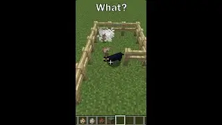 Cats Kill Rabbits(Same to Real) | Minecraft Tip
