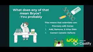 Research, CRISPR Gene Editing   BT