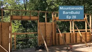 Off-Grid Mountainside BarnBuild & ADU Ep 28 | Standing The South Wall & Eating Apples