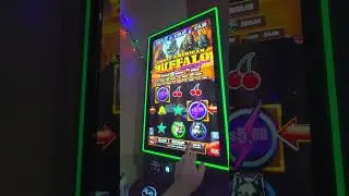 Бонусная игра Buffalo Max Bet $5, огромный выигрыш, игровой автомат PA Skill.