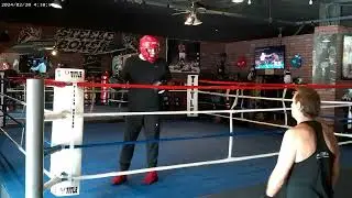 ADVANCED ONE PUNCH PLUS DEFENSE 5 STEELEBOXER ONLINE BOXING PROGRAM www.steeleboxer.com