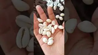 Cowrie shell earrings 😱 #shorts #trending #articraftypooja #diy #craft