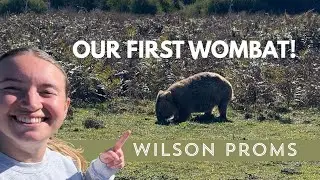 Ending Our 11-Week Road Trip in WILSON PROMS