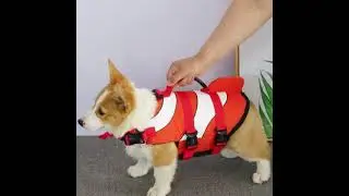 New Arrival&mdash;&mdash;Dog life jacket