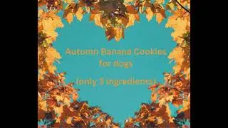 Homemade Banana Dog Cookies (Dog Treats Made Easy)