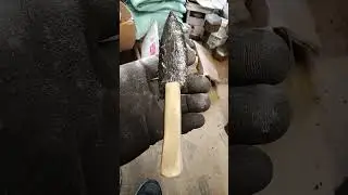 Flint knapped Mexican banded obsidian knife with whitetail deer leg bone handle