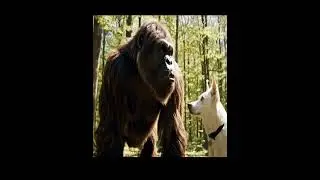 The Bigfoot Mission Begins, Tracking the Pig #bigfootvlogs #campingcooking #primitiveliving