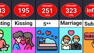 Comparison: Most Pleasurable Things for Humans 😌
