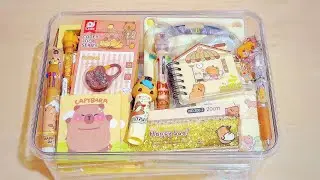 This Capybara Gift Set Is Weirdly Calming to Watch 😭✨