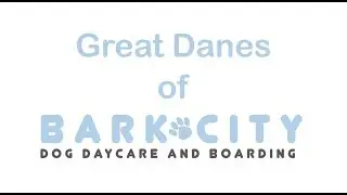 Great Danes of Bark City