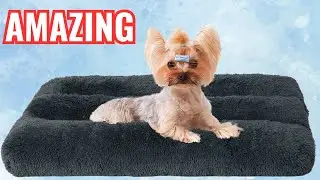 Best Value Dog Bed! Dog Bed Review