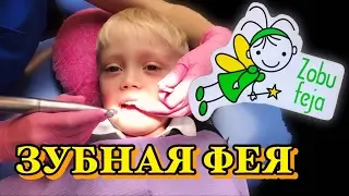 Zobu feja | Зубная фея
