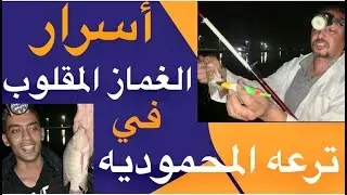 سر الغماز المقلوب في ترعه المحموديه (حساس لدرجه عاليه جدا )