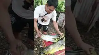 7 kilos durado