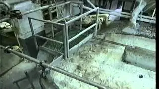 How Money is Made   Printed   HD