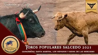 TOROS POPULARES SALCEDO 2025 || GANADERÍAS LOS NEVADOS, SANTA MARTHA Y REINA DE LAS MERCEDES