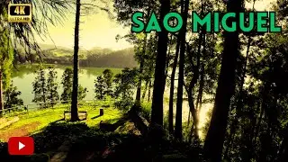 Sao Miguel - Grena Park(Furnas) walking tour