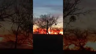 Beautiful sunset