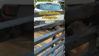 മതില് പണി#home #trending #work #family