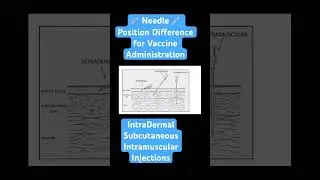 💉Needle💉Position Difference for Intradermal, Subcutaneous and Intramuscular Vaccine Administration