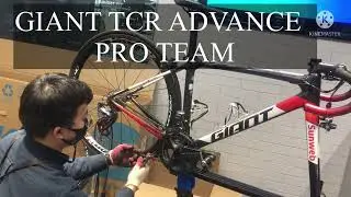2019 GIANT TCR PRO TEAM SUNWEB
