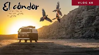 EL CONDOR La Colonia de LOROS BARRANQUEROS m&aacute;s GRANDE DEL MUNDO | VIEDMA Patagonia Argentina[VLOG67]