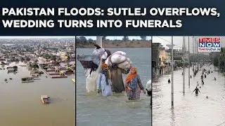 Pakistan Floods: Sutlej Overflows| 72 Kasur Villages Evacuated| Wedding Ceremony Turns Into Funerals