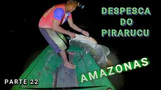 КЕМПИНГ НА ЛАГО-ДО-АНСОЛЬ – ПИРАРУКУ-ДЕСПЕСКА – ВИДЕО 22