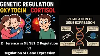UPSC ZOOLOGY OPTIONAL COURSE: Genetic Regulation vs Regulation of Gene Expression 