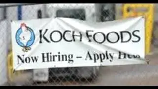✅ Koch Foods - Black MEN HIRED after ICE KICKED OUT NAFTA IMMIGRANTS