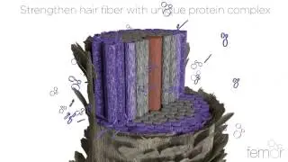 Therapeutic hair products for dry and chemically treated / damaged hair