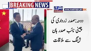 Doha: President Zardari meets Chinese Vice President Han Zheng
