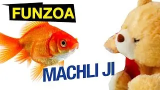 MACHLI JI 🐟 Funzoa Teddy Video | Bojo Teddy | Funny Hindi Video | Fish Song | Hindi Love Song 2017