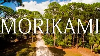 Aerial Photography of Morikami Park in 4k || DJI Phantom 3 Professional