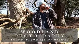 Part One - Discovering a New Ancient Oak Woodland