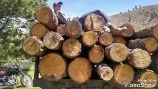 gns logging