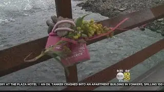 Love Locks Being Removed
