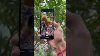 Google pixel 6A camera and OLED display🔥😍 #shorts