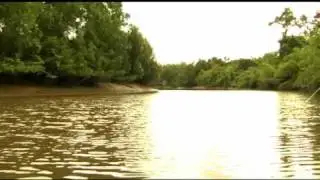 Turismo Consciente