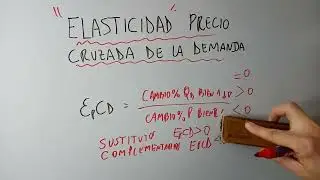 Elasticidad Precio Cruzada de la Demanda