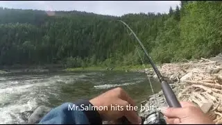 Salmon fishing on Orkla River, Vol1, Svinsoyen Laksefiske camp, Norway (C&R)
