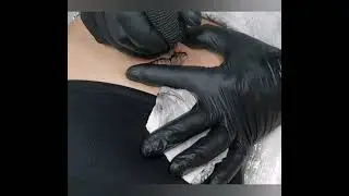 Schmetterling tattoo