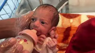 Full-Term Baby Feeding Time in NICU | Gentle Care 🕰️🍼