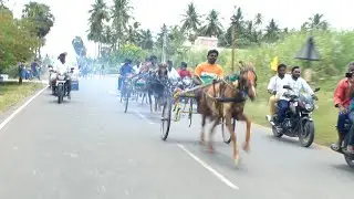 kumarapalayam horse 🐎🐎🐎 Race 🔥🔥.. Singara velan Anna #bhavani #horseracing #horseriding