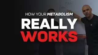 Why The Gym Is A Waste Of Time For Fat Loss - The PT Centre