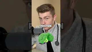 Is meat or plant based protein better for muscle growth? #protein #health #wellness