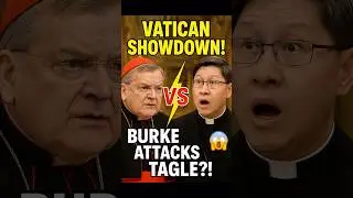 &ldquo;Cardinal Burke SHOCKS Luis Tagle in Front of All Cardinals!?&rdquo;